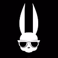 Crypto Bunny  NOTDOGE