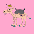 Chilled Camels