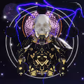 Animus Regnum: A.I.D.E.N.