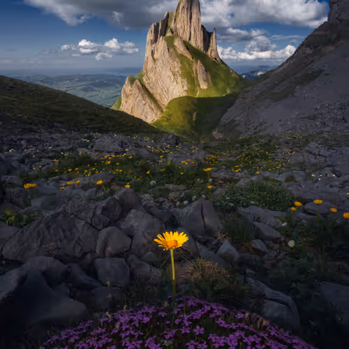 Marco Grassi Editions