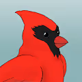 Avian Avatars V2