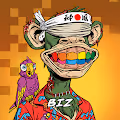 PUNKS 2: BIZ Collector's Edition