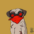 Pug Mafia