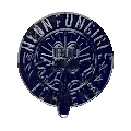 NEON FUNGIBLE TOKENS