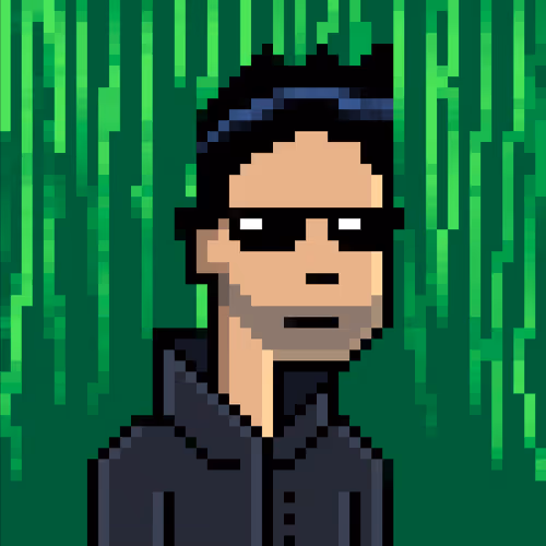 Matrix Punks