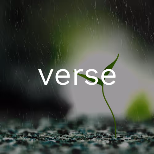 Melissa Wiederrecht - Take Root (Verse)