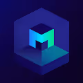 Metroverse Genesis Mini