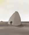 Pet Rock Collection