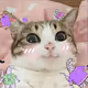 Mi:MA://CROS