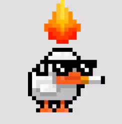 ordinalducks