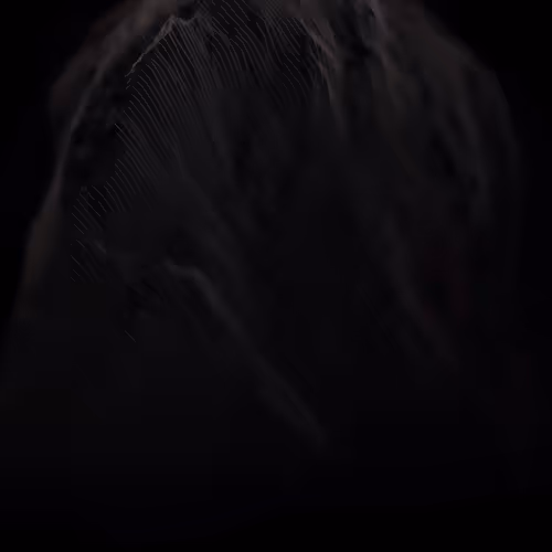 THE MOST MYSTERIOUS ARTWORK