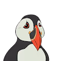 Lost Puffins