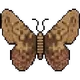 Crypto Moth