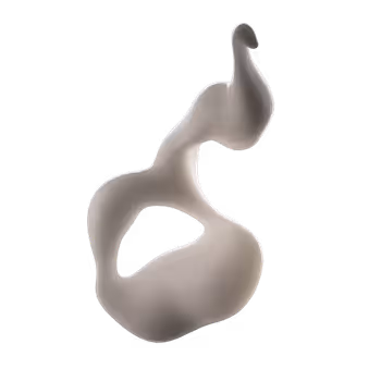 DRAUP SEAL