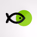 Stakefish NFT collection