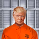 Trump Criminal Digital Cards