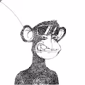 Scrubby Ape Artwork