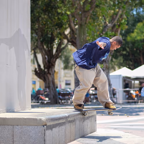 Bafin - Bs Tailslide