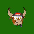 Wall St Bulls
