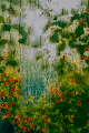 GreenhouseCollection