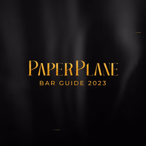 PaperPlane by FlyingClub.io