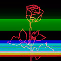 GLITCHSAFARI