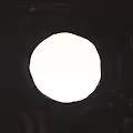 Curio Remix 2