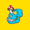 Abnormal Apes