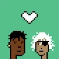 CouplePunks