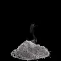 Ashes by Gutter Punks
