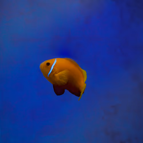 FIsHY THiNGS