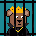 Crypto Punk Bears Collection