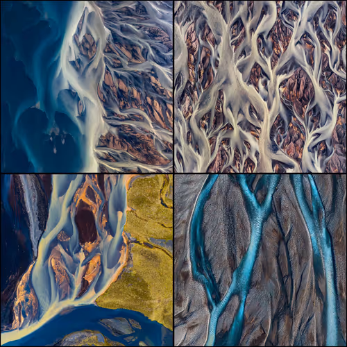 Nature’s Generative Art