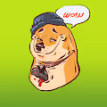 Elite Doge Club Official