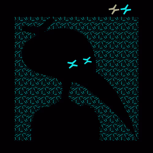 Konotori Bird