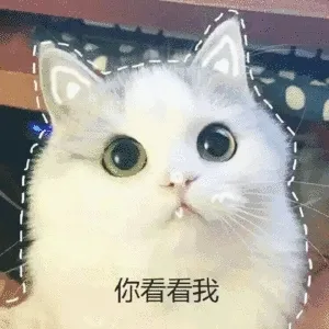 fuckgogo