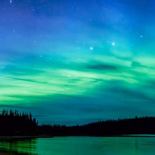 Nature by Dave Markel
