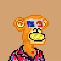 项目媒体占位符