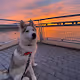 lokitakesnyc