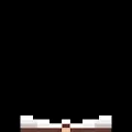 Pixel Fighter Guild