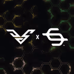 项目媒体占位符