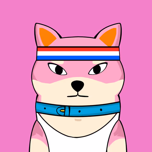 Shibashi