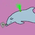 Dolphin Town