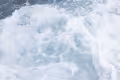 Shades of Our Ocean