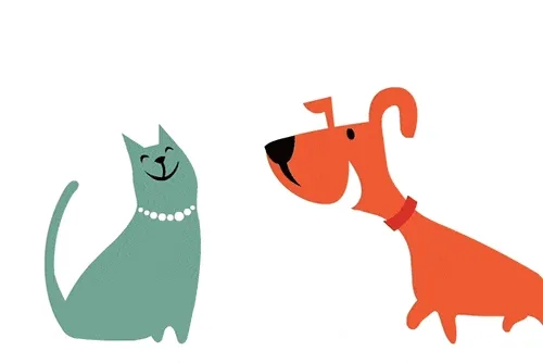 Doge&Cat