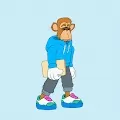 Visible Apes NFT Official