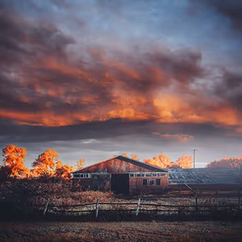 and then the quiet explosion - Bryan Minear - Limited Edition
