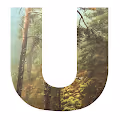 UNSEEN by Louis Iruela