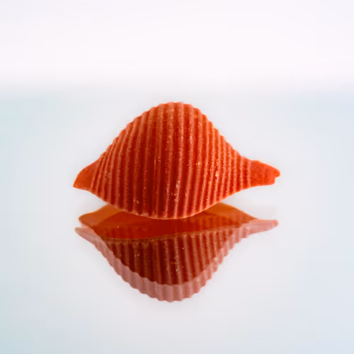geraldine-photo Editions