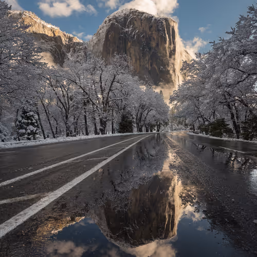 Yosemite Through The Seasons - Manifold